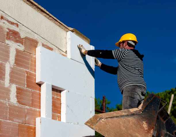 Best Wall Insulation Contractor  in Ardmore, TN