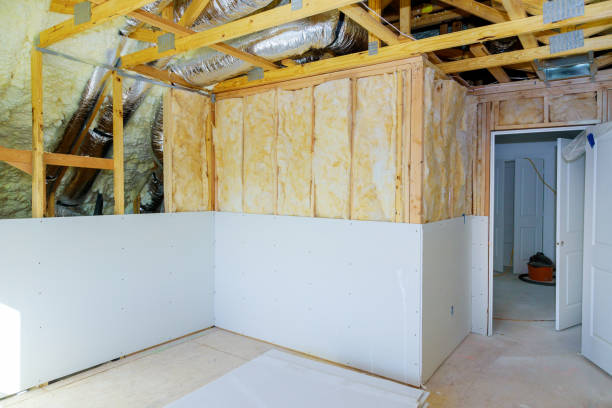 Best Insulation Replacement Services  in Ardmore, TN