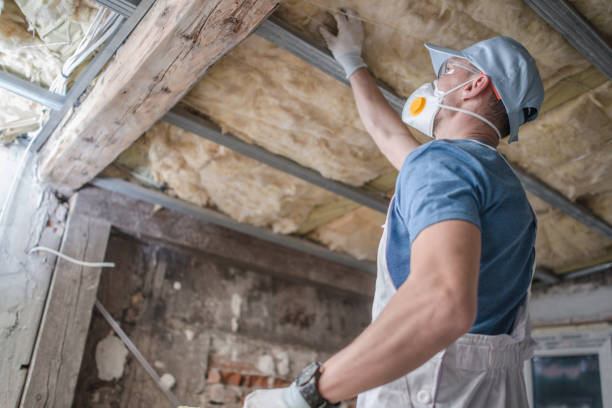 Insulation Inspection Services in Ardmore, TN