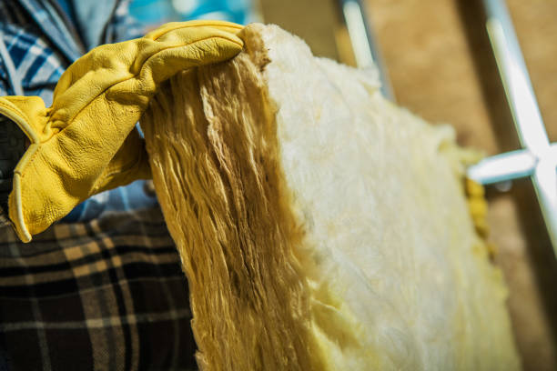 Best Insulation Inspection Services  in Ardmore, TN