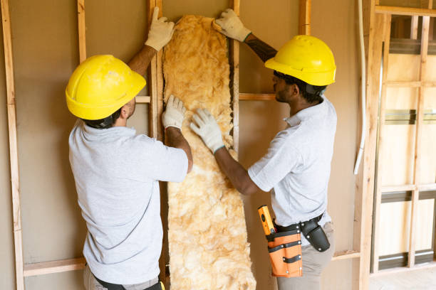 Best Best Insulation Companies  in Ardmore, TN