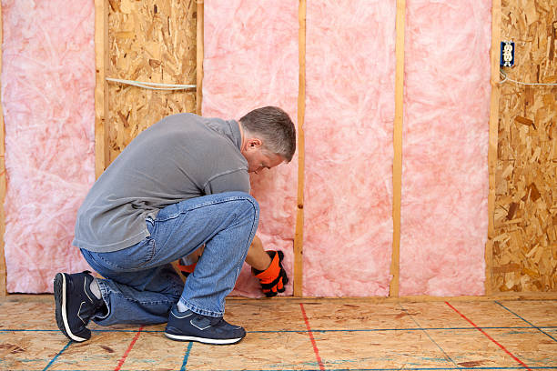 Best Blown-in Insulation  in Ardmore, TN